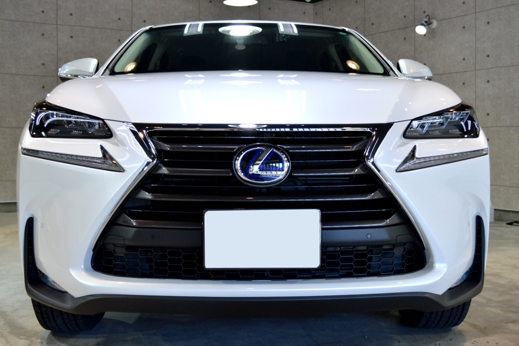 NX300ｈ-2