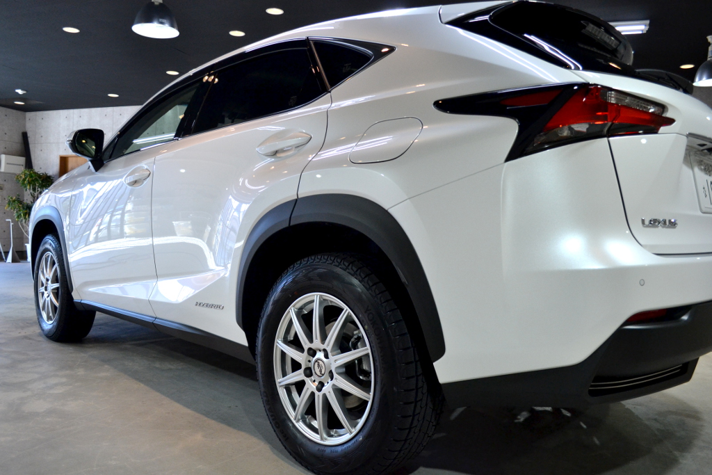 NX300ｈ-5