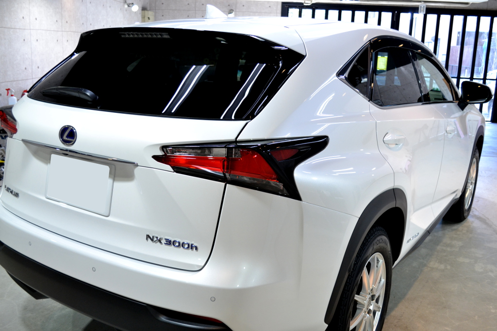 NX300ｈ-8