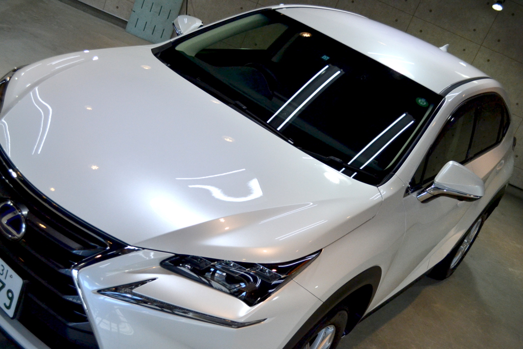 NX300ｈ-3